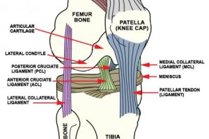 膝关节疼痛原因有很多，一定不要病急乱投医!